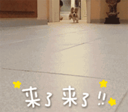 美妝課堂 | 春夏元氣口紅大推薦，選擇這幾支準沒錯！