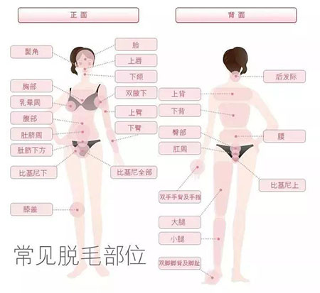 春季不脫毛，夏季獼猴桃！現(xiàn)在是脫毛的 佳時(shí)機(jī)~