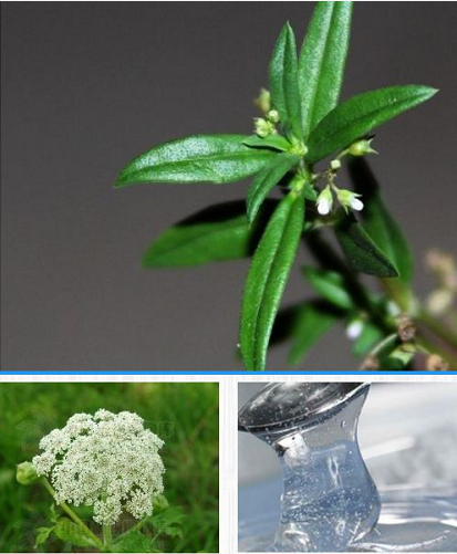 講真，少女感的秘密全藏在這款韓詩緹凈雪眼霜里...