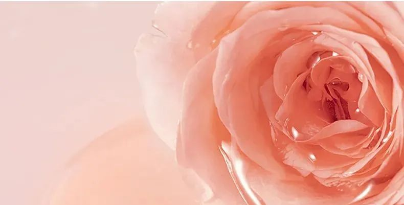 補(bǔ)水修復(fù)組合 | 玫瑰鮮“活”，肌膚萬(wàn)能補(bǔ)水神器