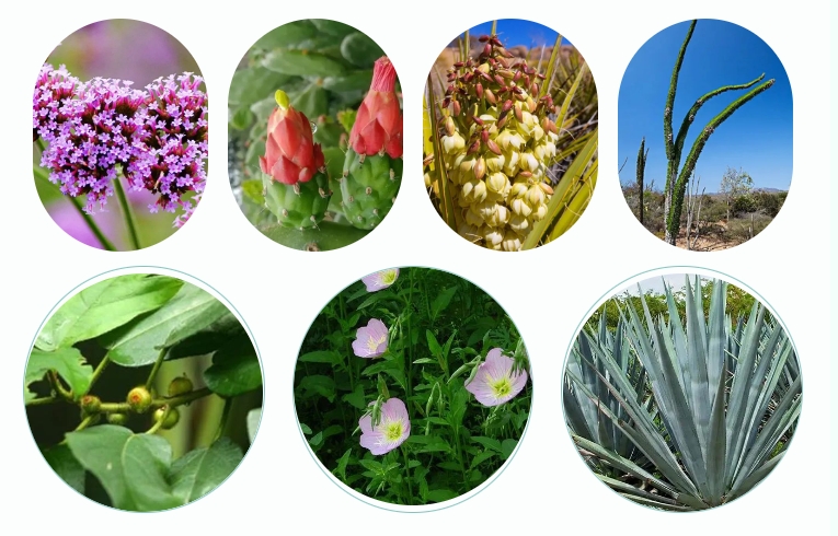 香薰收斂平衡清潔素 | 角質搓泥神器，揉出細膩好肌膚