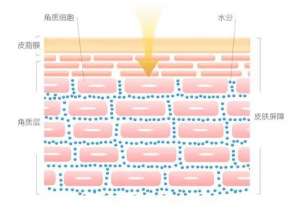 皮膚屏障“守護(hù)神” 實(shí)力維穩(wěn)，無(wú)懼季節(jié)性敏感